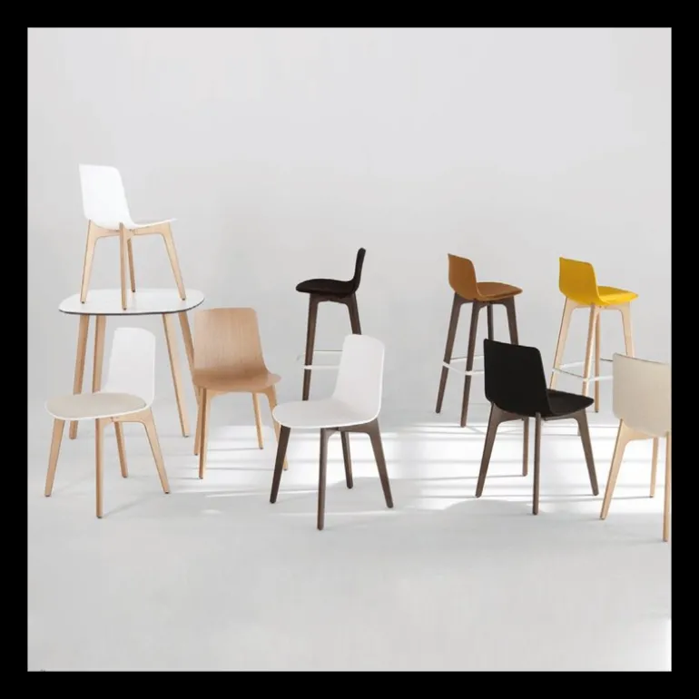 Lottus Enea® Chaise design en polypropylène et pieds bois