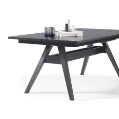 SM11 Table de séjour scandinave extensible en bois