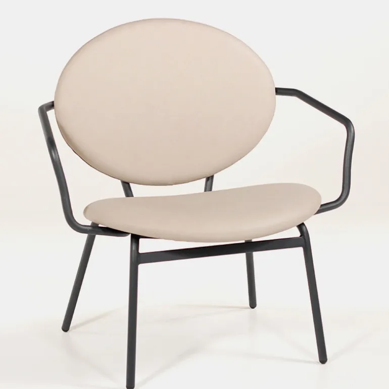 Titan Carrier® Fauteuil confort pour personne à forte corpulence